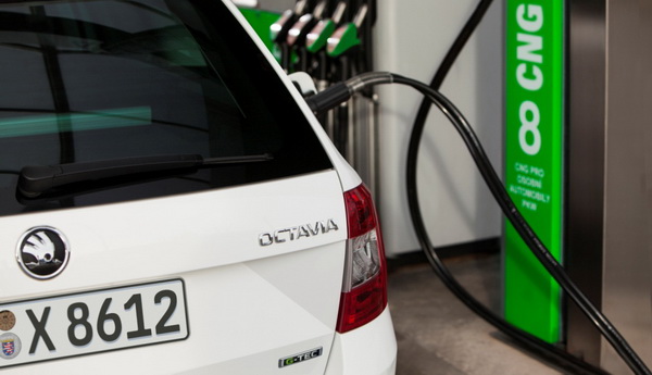 Skoda Oktavia G-Tac