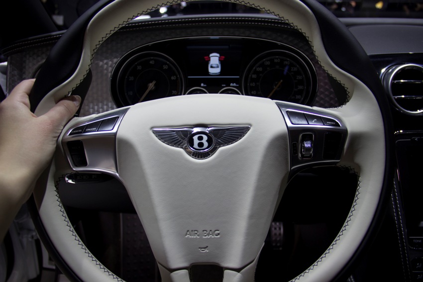 Autopanorama on Geneva 2016